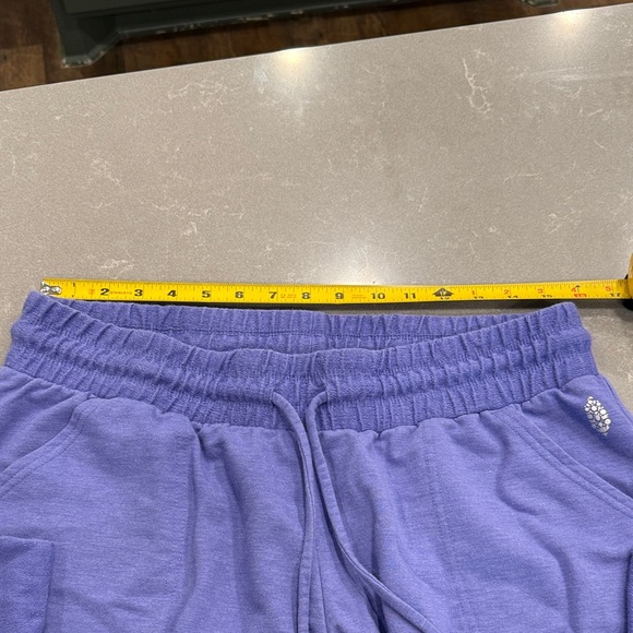 Free People Periwinkle Joggers - Picture 4 of 5